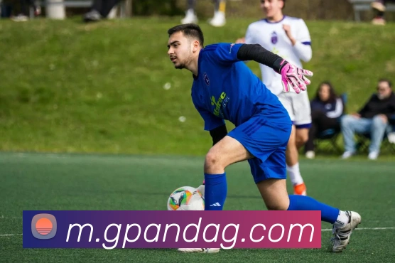 ag百家乐服务体系